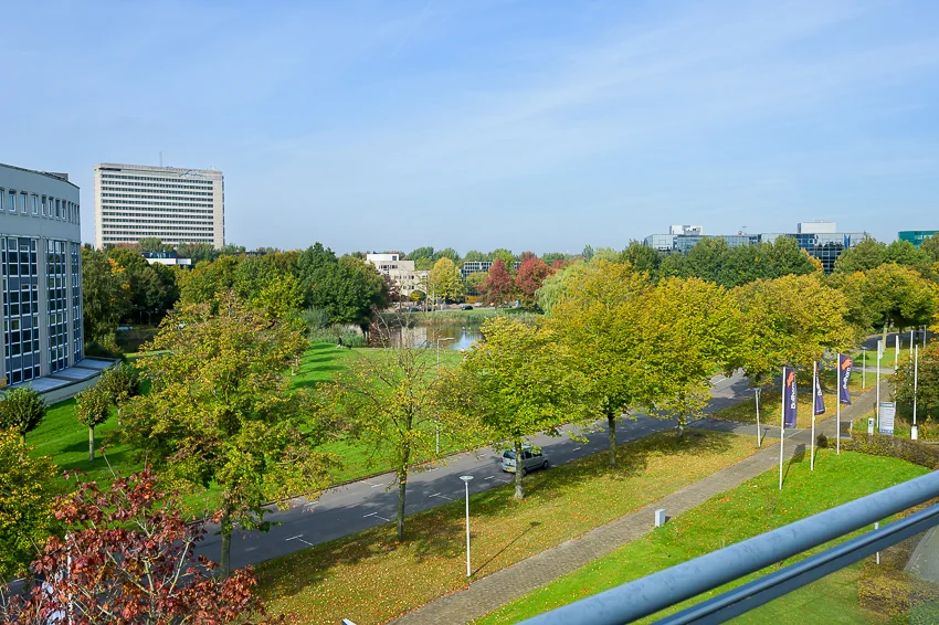 Zicht op de groene en bebouwde omgeving van de K.P. van der Mandelelaan in Rotterdam op een zonnige dag.